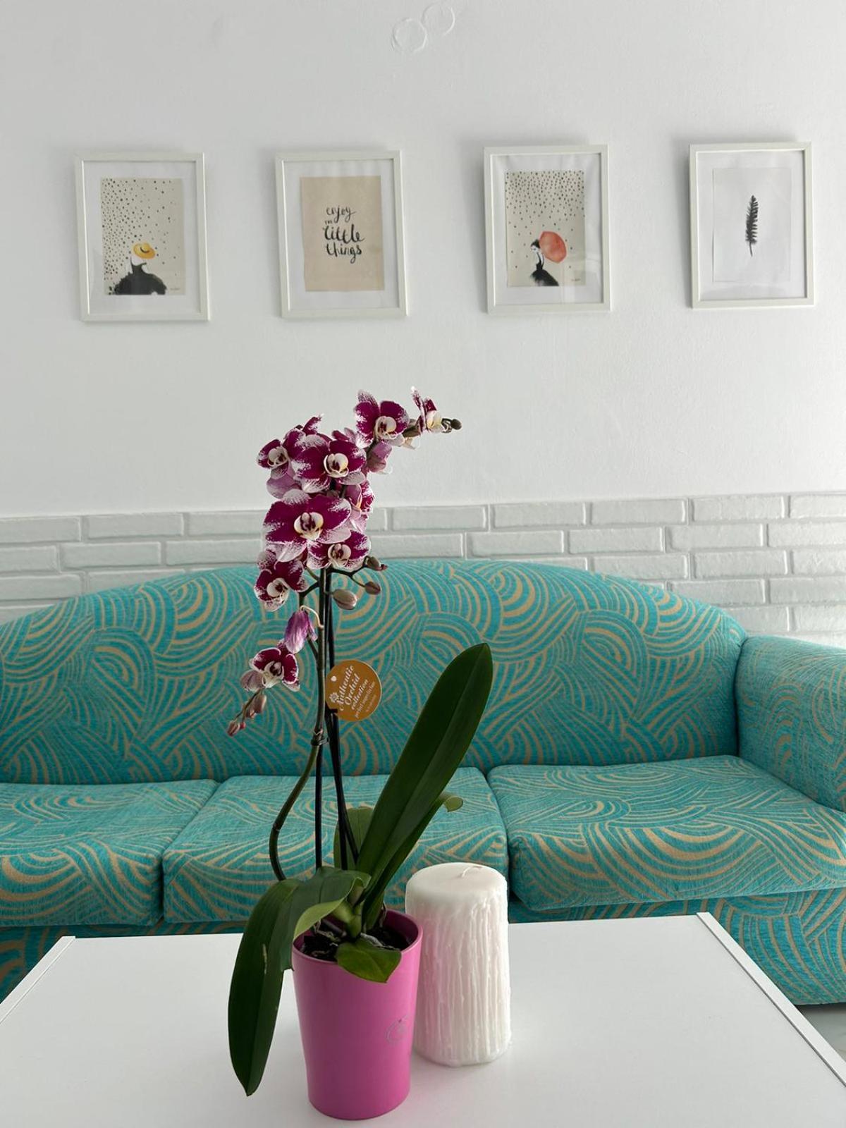 Maria'S Apartments Pigí Екстериор снимка
